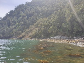 Terreno en venta en Oportunidad de inversión Aysén orilla mar (148351), Aysén