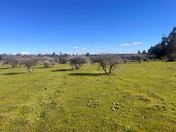 Terreno en venta en parcelas planas en san Nicolas ñuble (155660), San Nicolás