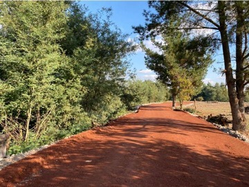 Parcela en venta en Km. 6 camino Cato, Chillán