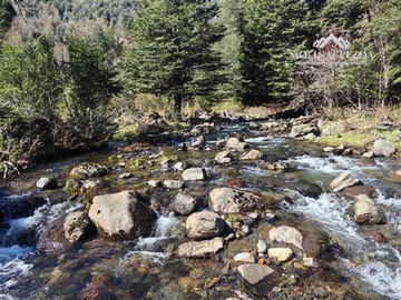 Terreno Agricola en venta en sector Manchuria, Curacautín