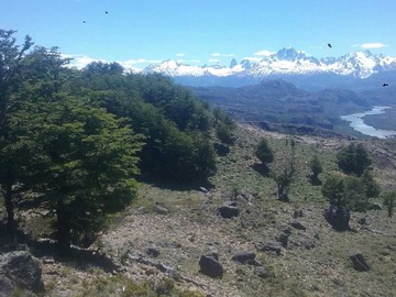 Terreno en venta en Terreno de 58 has con vista Cerro Castillo (178730), Río Ibáñez