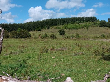 Venta / Terreno / La Unión