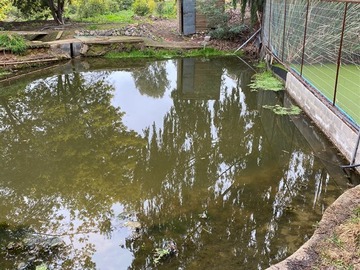 Parcela en venta en El cajon de san pedro, Quillota - 3 dormitorios, 3 baños