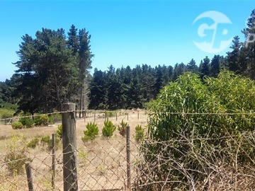 Terreno en venta en Fundo peñablanca - algarrobo, Algarrobo