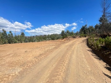 Sitio en venta en Chivicura, Santa Juana