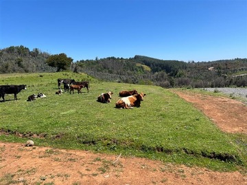 Parcela en venta en Punta de Parra, Tomé