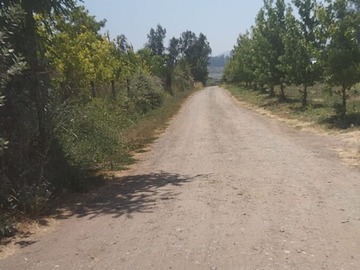 Terreno Agricola en venta en El recurso, Buin - 3 dormitorios, 1 baño