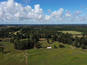 Terreno Agricola en venta en 36 Hectareas Sector Quema del Buey Puyehue (171450), Puyehue