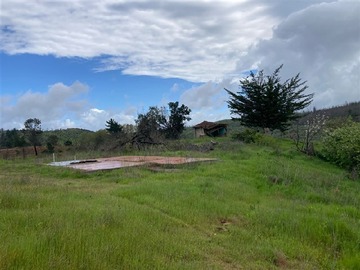 Sitio en venta en Nueva Aldea, Ránquil, Ránquil
