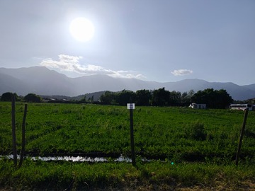 Venta / Terreno Agricola / Rancagua