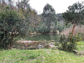 Terreno en venta en Tranquilidad y Naturaleza en Parcela Valdivia (135359), Valdivia