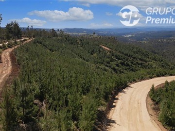 Parcela en venta en Paredones, Paredones