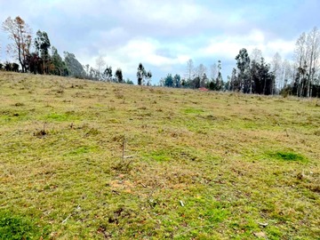 Venta / Parcela / Pitrufquén