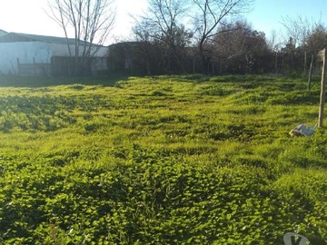 Terreno en venta en Tarapacá e N°860 (ex 746), Parral