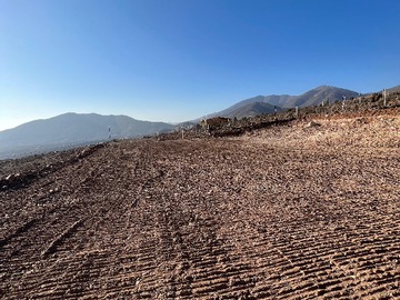 Terreno en venta en Tereno en Venta en Estancia de San Jose de Bellavista, Las Rojas.