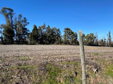 Terreno Agricola en venta en Terreno productivo, acciones de agua / casa (170793), Linares