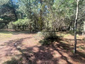 Terreno en venta en Parcela con casa en Laguna Verde, Valpo (146301), Valparaíso - 2 dormitorios, 1 baño