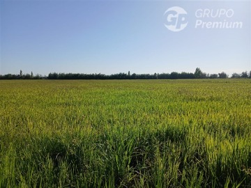 Terreno Agricola en venta en A solo 25 minutos de linares, Longaví