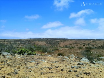 Sitio en venta en Sector Talinay Bajo, Ovalle