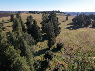 Parcela en venta en Hermosa parcela de agrado 5.000 m2 nueba brauna, Puerto Varas