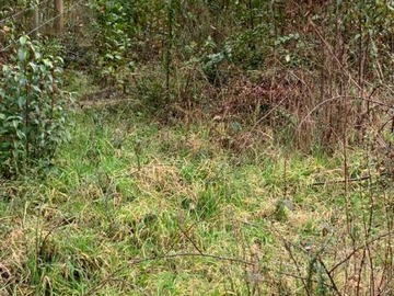 Parcela en venta en refugio el claro - camino internacional, Pucón