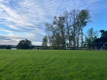 Parcela en venta en Camino a lago ranco km3 condominio Monte Rio P55, Río Bueno
