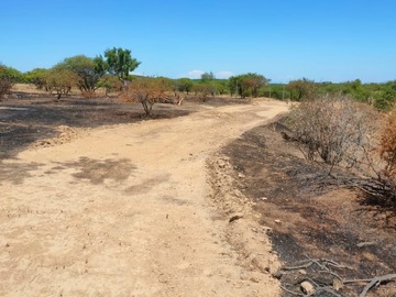 Parcela en venta en Embalse mallermo, Marchigüe