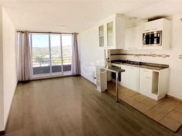 Arriendo Mensual / Departamento / Viña del Mar