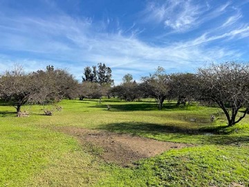Terreno en venta en 2 hectáreas planas y con quebrada (135842), Zapallar