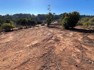 Terreno en venta en Lote en Entorno Natural, Los Pinos (96615), Viña del Mar