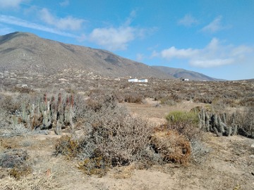 Parcela en venta en Punta el Viento, La Higuera