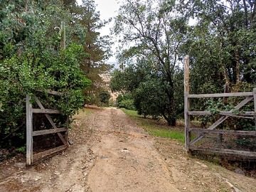 Parcela en venta en La aurora, Curacaví