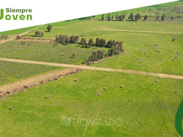 Terreno en venta en Parcelas en Venta (129086), Chillán Viejo