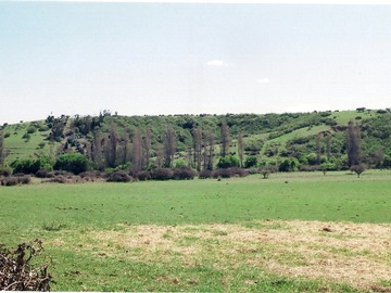 Venta / Parcela / Litueche