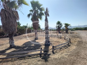 Sitio en venta en Santa Elena /San José, Colina