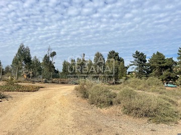 Terreno en venta en Los Chercanes, Viña del Mar