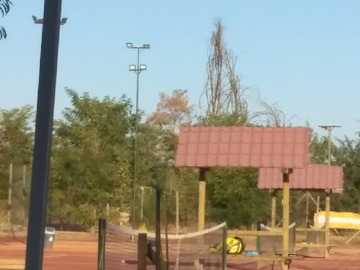 Venta / Parcela / Chillán