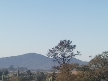 Parcela en venta en Los Alamitos, Victoria., Victoria