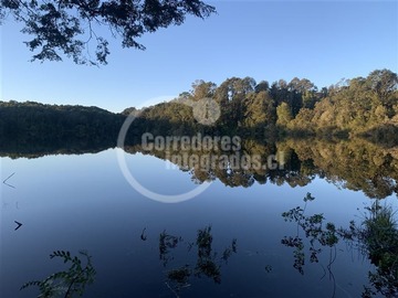 Parcela en venta en 10 minutos de Puerto Fonck, frente a Fundo Playa el Volcan, Puerto Octay