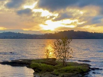 Casa en venta en Oportunidad: Vendo townhouse en condominio (119988), Puerto Varas - 3 dormitorios, 3 baños