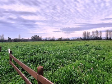 Parcela en venta en Olivar alto, Olivar