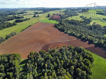 Terreno Agricola en venta en 169 hectáreas, camino San Carlos km 3, a solo 10 min de Los Muermos, Los Muermos