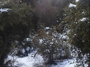 Parcela en venta en La Puntilla de San Juan / Coihueco, Coihueco