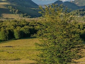 Terreno en venta en Camino a Lago Castor (63519), Coyhaique