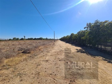 Parcela en venta en Camino El Oliveto - Balmaceda - Talagante, Talagante
