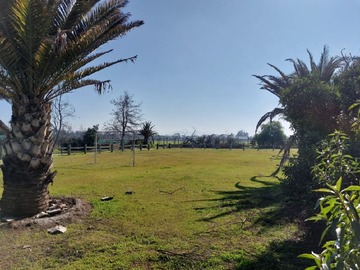 Sitio en venta en Palo alto lo arcaya chicureo colina, Colina