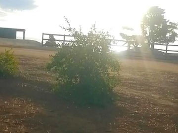 Terreno en venta en Cahuil,terreno 5.000 m2 hermosa vista al mar (95013), Pichilemu