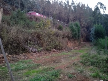 Terreno en venta en Collen, Tomé