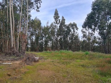 Terreno en venta en Comuna Chanco - Cauquenes (170681), Cauquenes