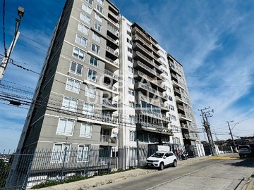 Departamento en arriendo mensual en Gregorio Marañon, Viña del Mar - 1 dormitorio, 1 baño